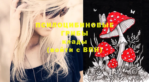 каннабис Богданович