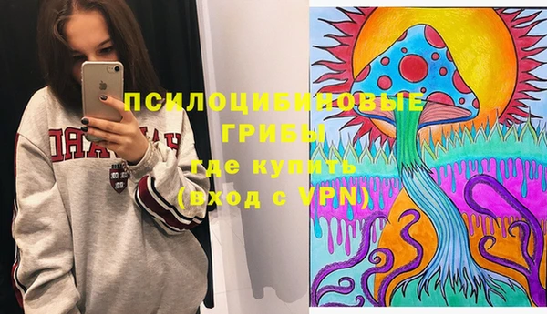 ешки Богородицк