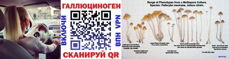наркошоп  Волжский  Псилоцибиновые грибы Magic Shrooms 
